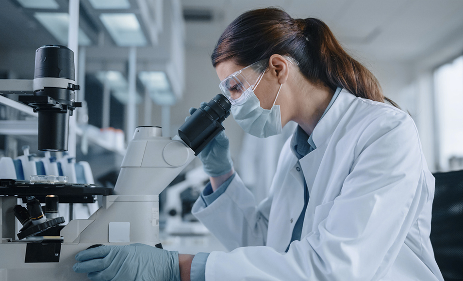 Jiangsu Sulong Eko-Teknolojiler Co., Ltd.